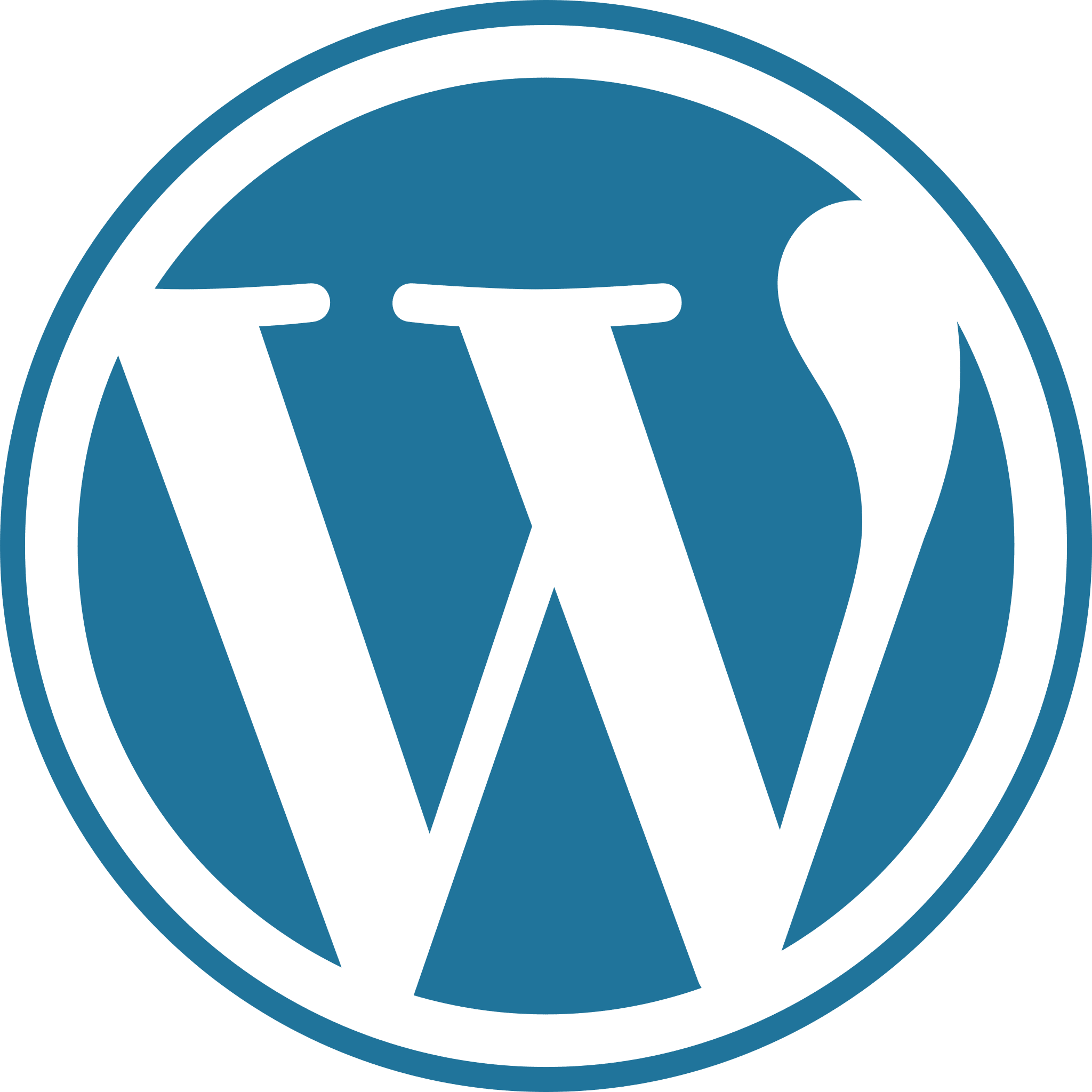 Wordpress website